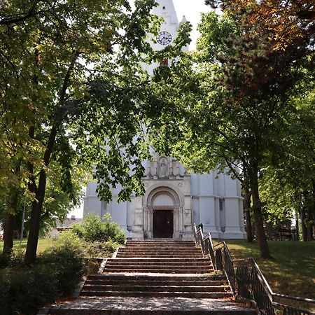 Villa Pazelt Top2 Bad Voeslau Dış mekan fotoğraf